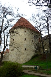 Saaz24