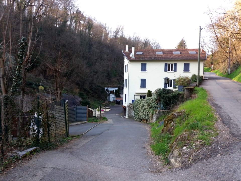 Saint-Didier-au-Mont-d'Or - Chemin de la Duchère - Depuis le chemin des Rivières