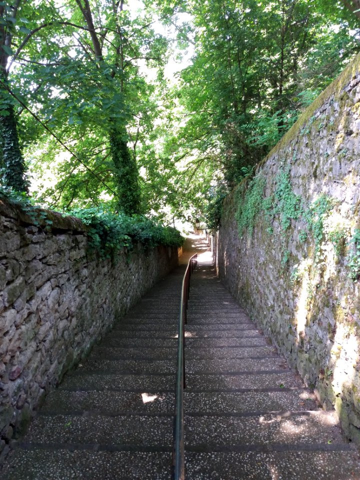 Saint-Germain-au-Mont-d'Or - Montée de la Tour 2