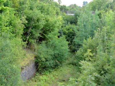 Saint-Germain-sur-Meuse (Meuse) ancien chemin de fer (03)