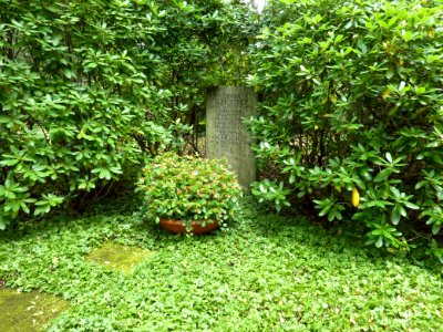 S Waldfriedhof Erwin Schoettle
