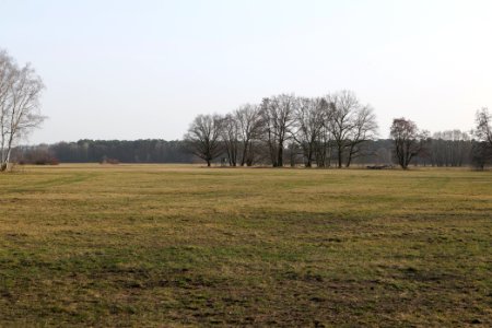 Saarmunder Rohrwiesen 2021-02-24 08