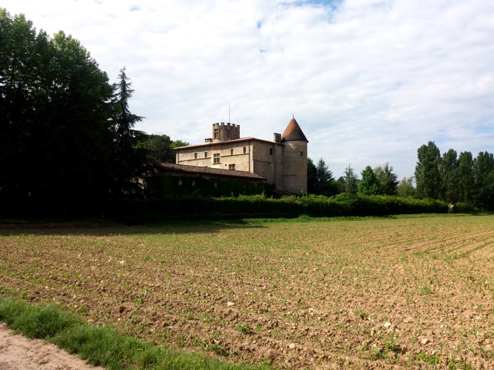 Saint-Didier-de-Formans - Château de Tanay