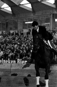 S. Mayes op paard Goodbye, Bestanddeelnr 918-3574