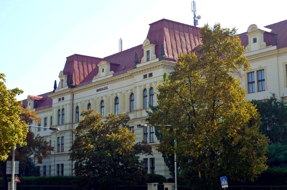 Saaz16