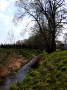 Saarbach, Großsaara