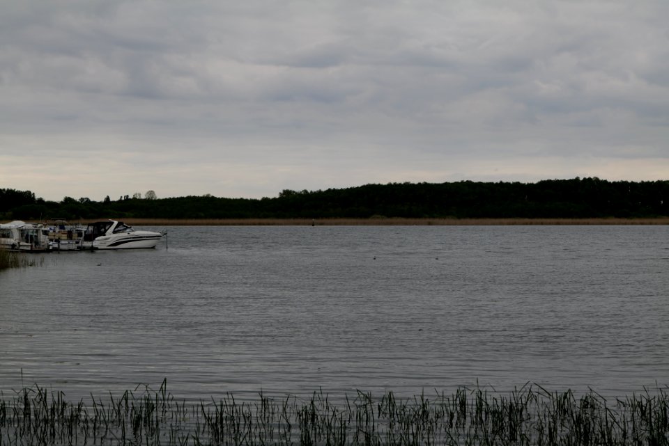 Südufer Ruppiner See from Wustrau-Altfriesack 2020-05-15 01