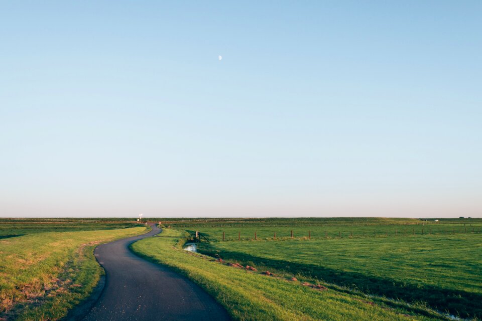 Farmland field grass