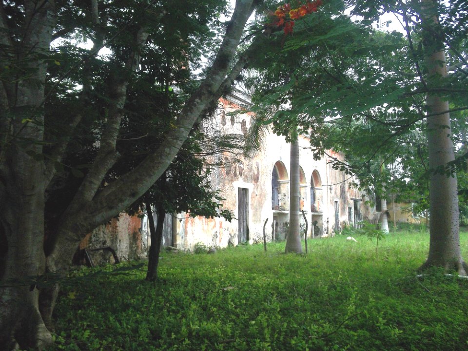 Sabacché (Tecoh), Yucatán (06)