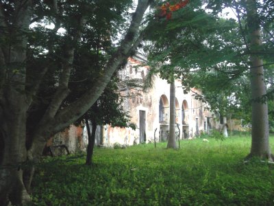 Sabacché (Tecoh), Yucatán (06)