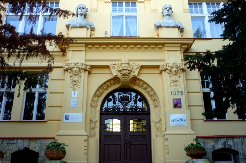 Saaz15
