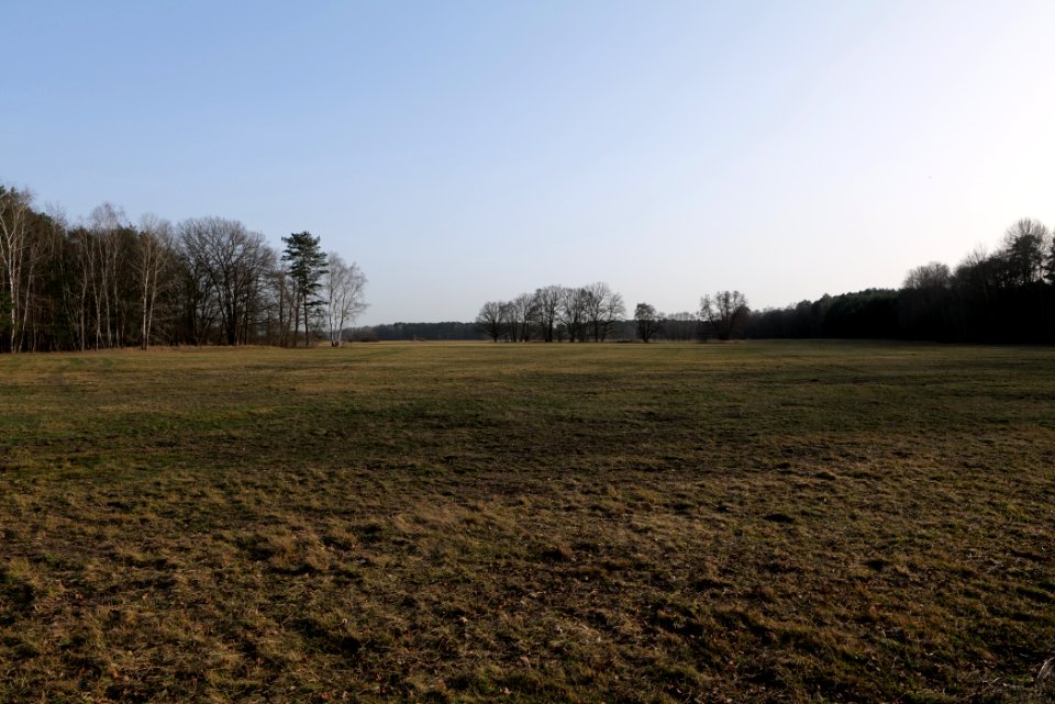 Saarmunder Rohrwiesen 2021-02-24 04