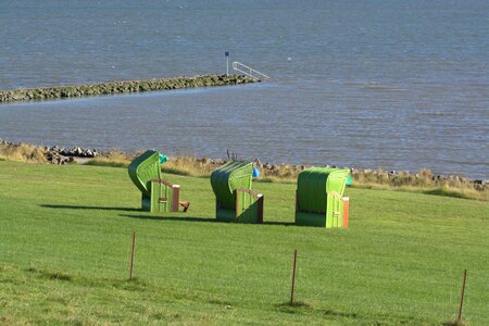 Grass beach rush beach photo