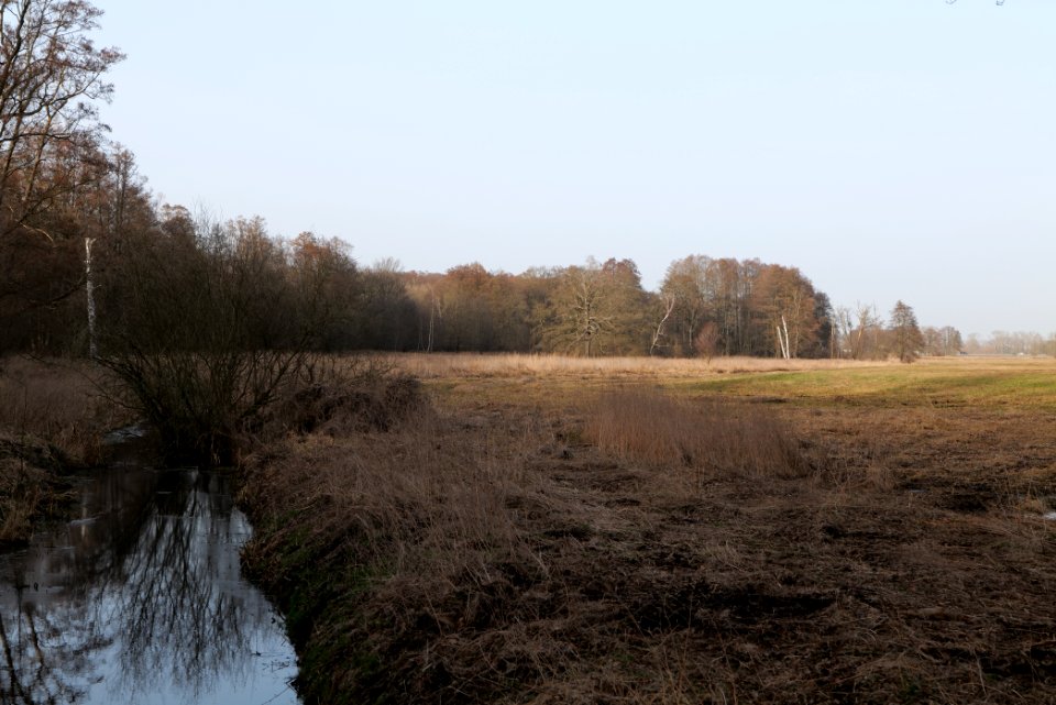 Saarmunder Rohrwiesen 2021-02-24 27