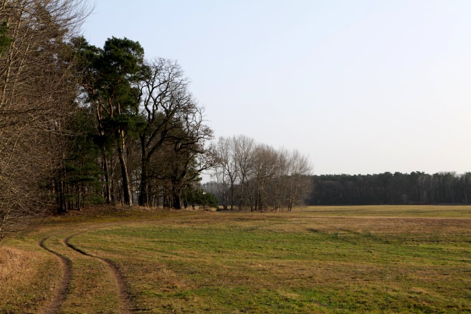 Saarmunder Rohrwiesen 2021-02-24 15