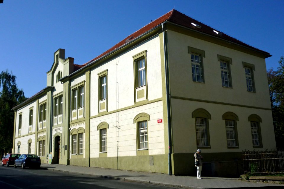 Saaz14