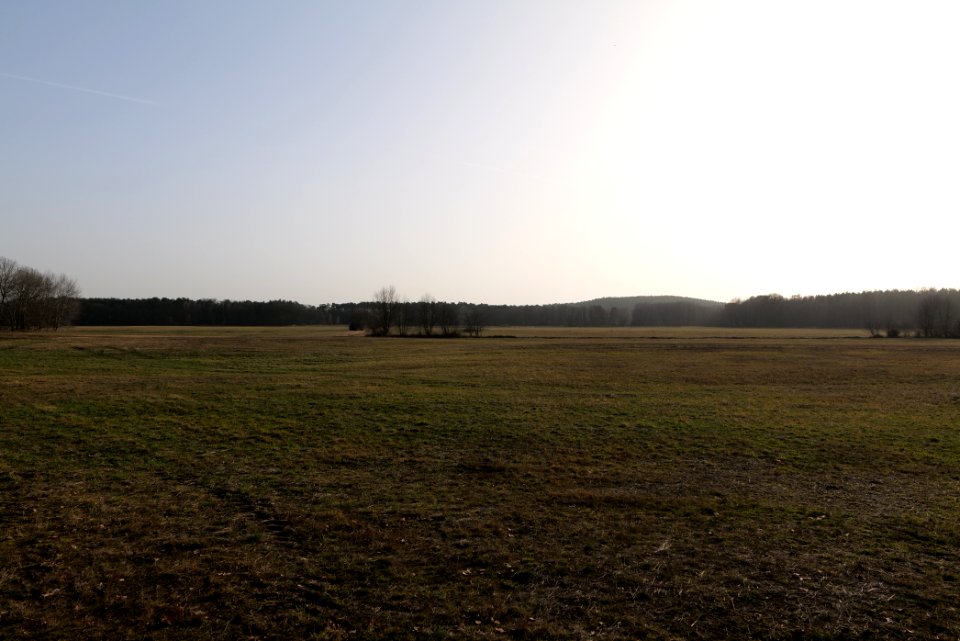 Saarmunder Rohrwiesen 2021-02-24 18