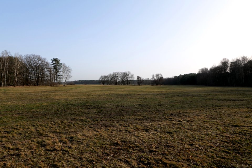 Saarmunder Rohrwiesen 2021-02-24 06