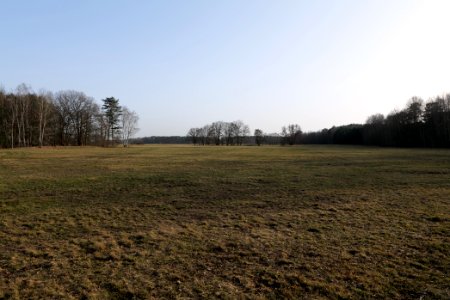 Saarmunder Rohrwiesen 2021-02-24 05