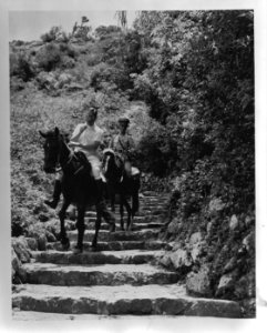 Saba. Brigadier Halley en gezaghebber X. Krugers gaan te paard over een bergweg, Bestanddeelnr 935-1262