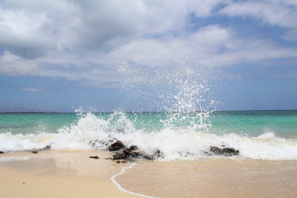 Water sea summer