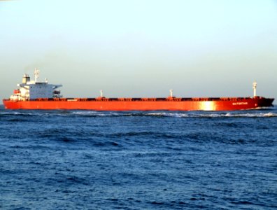 SA Fortius - IMO 9221217 - Callsign C6RT5 - approaching Port of Rotterdam, Holland 29-Nov-2006 photo-4