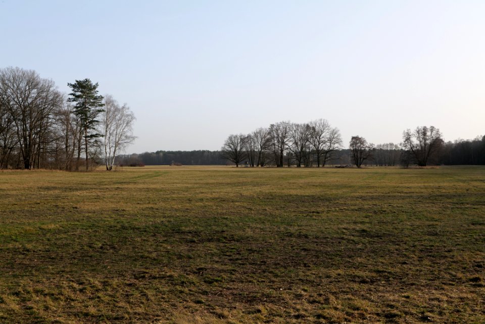 Saarmunder Rohrwiesen 2021-02-24 09
