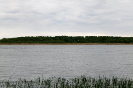Südufer Ruppiner See from Wustrau-Altfriesack 2020-05-15 03