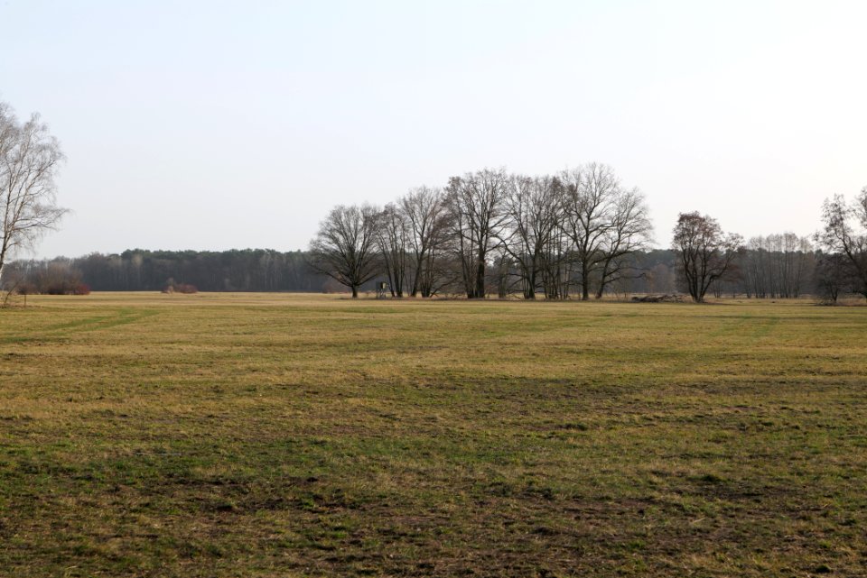 Saarmunder Rohrwiesen 2021-02-24 07