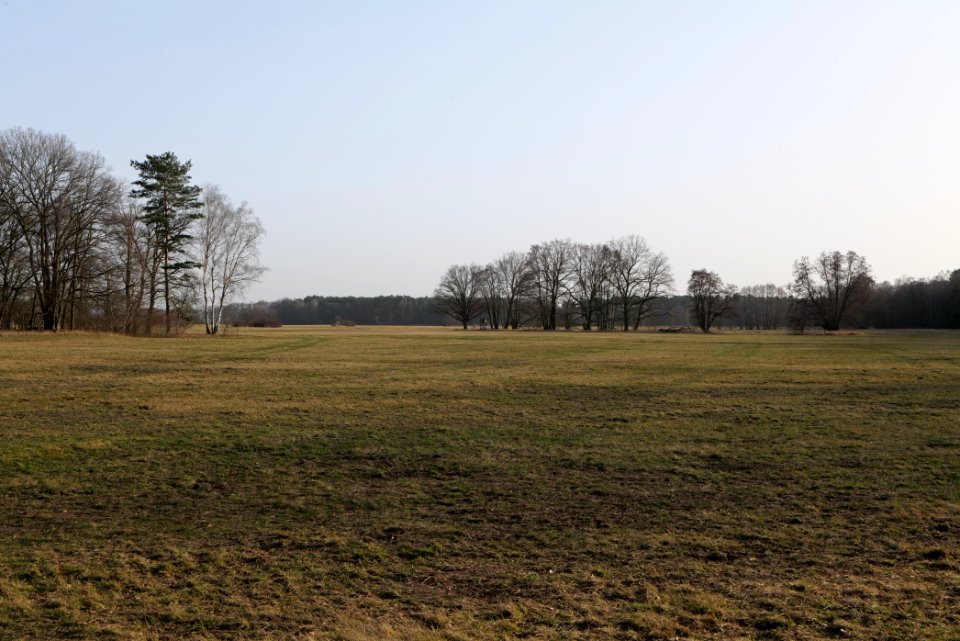 Saarmunder Rohrwiesen 2021-02-24 10