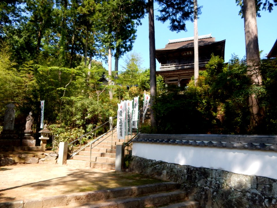 Ryugenji, in Hagi-cho, Toyokawa (2018-04-21) 05