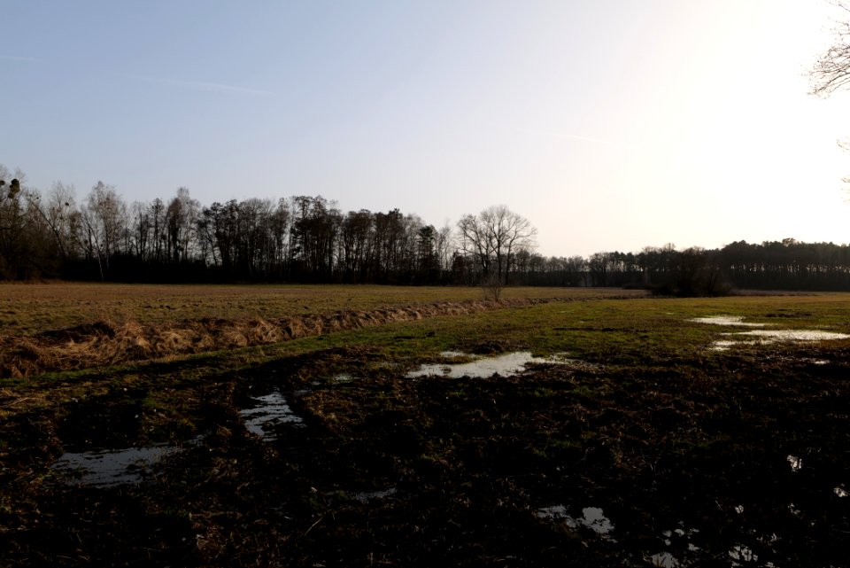 Saarmunder Rohrwiesen 2021-02-24 23