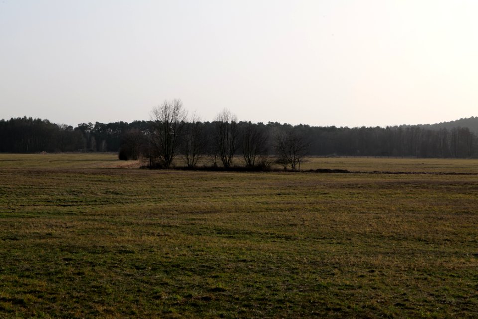 Saarmunder Rohrwiesen 2021-02-24 16
