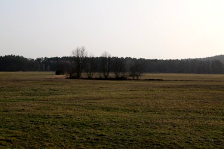 Saarmunder Rohrwiesen 2021-02-24 16