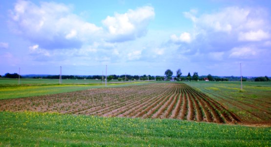 Sūriškiai1