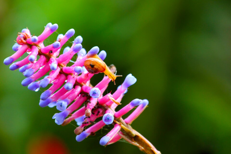 Colorful blooming light