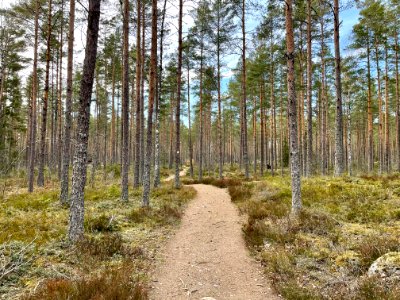 Ryssbergens naturreservat Sörmlandsleden