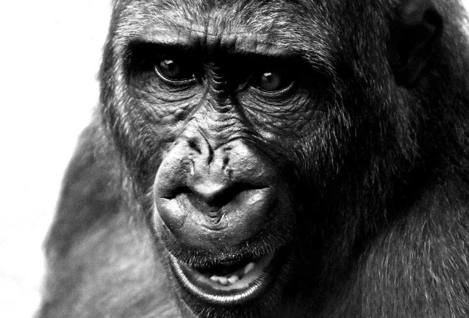 Zoo hellabrunn feed