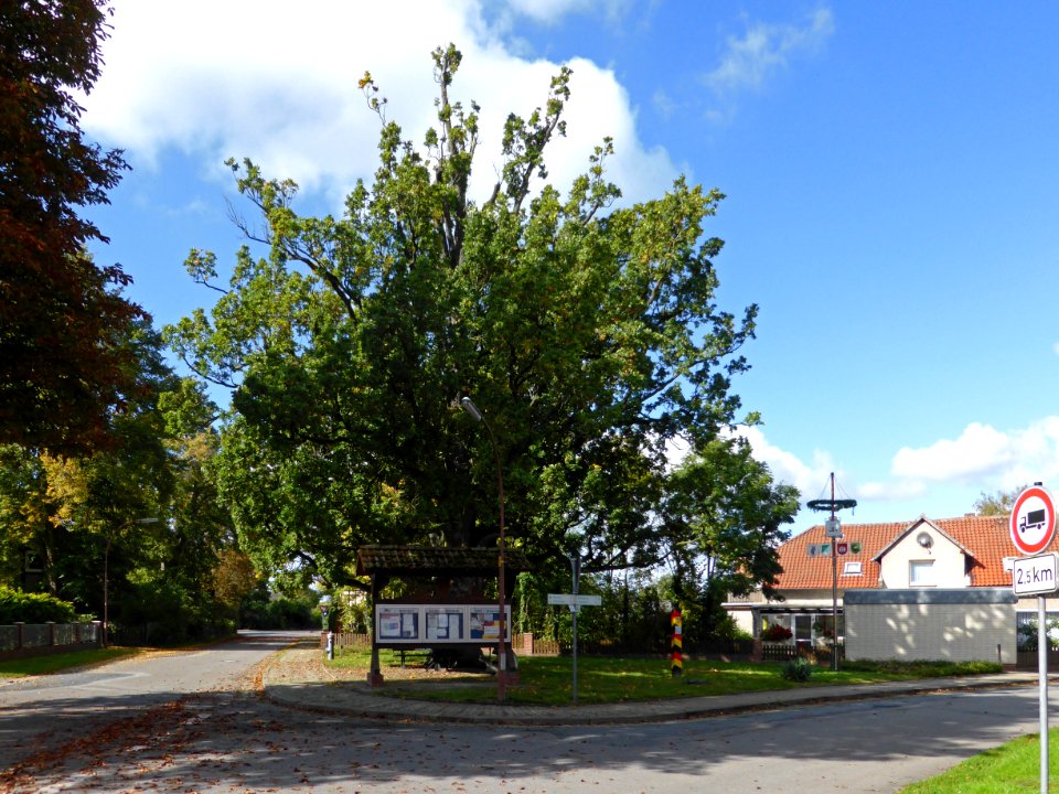 Saalsdorf Dorfplatz