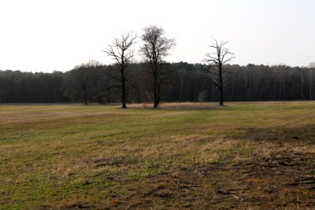 Saarmunder Rohrwiesen 2021-02-24 11