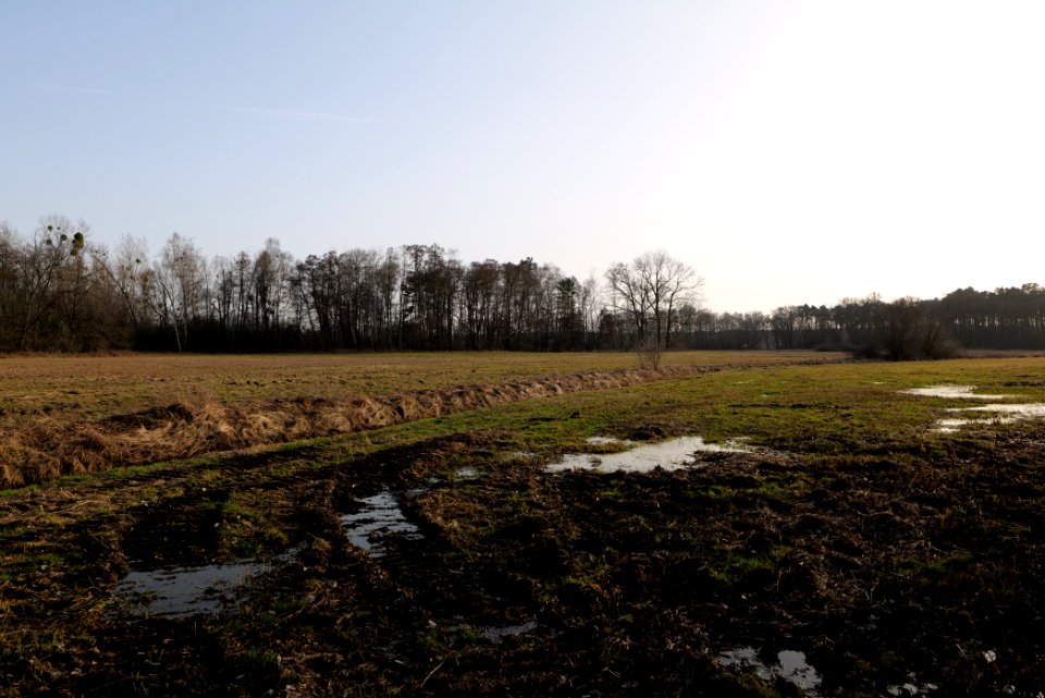 Saarmunder Rohrwiesen 2021-02-24 19