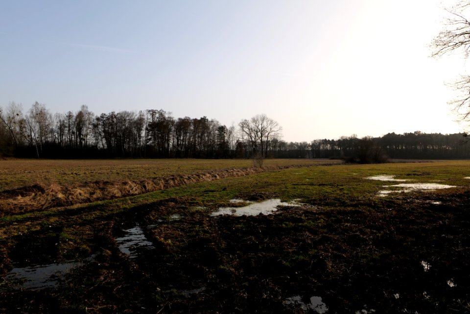 Saarmunder Rohrwiesen 2021-02-24 21
