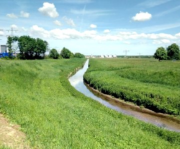 Saalbachkanal, im Westen von Bruchsal (2)