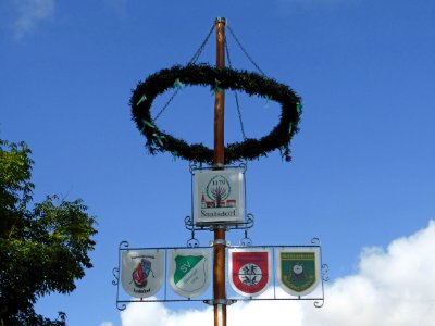 Saalsdorf Maibaum photo