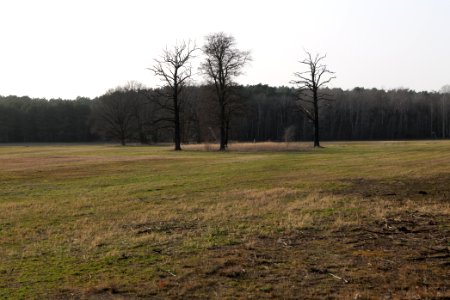 Saarmunder Rohrwiesen 2021-02-24 12
