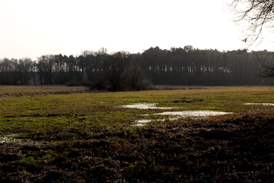 Saarmunder Rohrwiesen 2021-02-24 25
