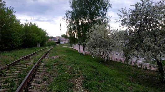 RZD Kashira-gruzovaya railway line 2019-05-09 3