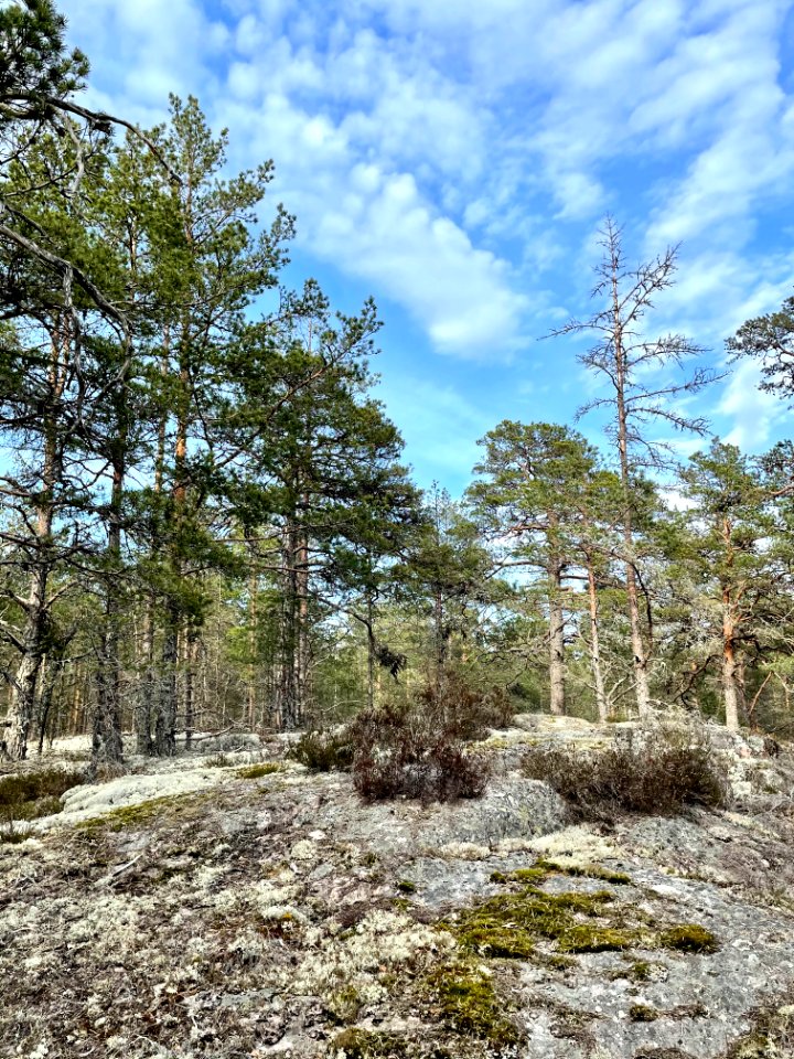 Ryssbergens naturreservat hällar