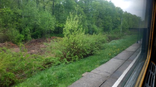 RZD 118 km Yyazma - Fayansovaya IMG 20190511 162628 1