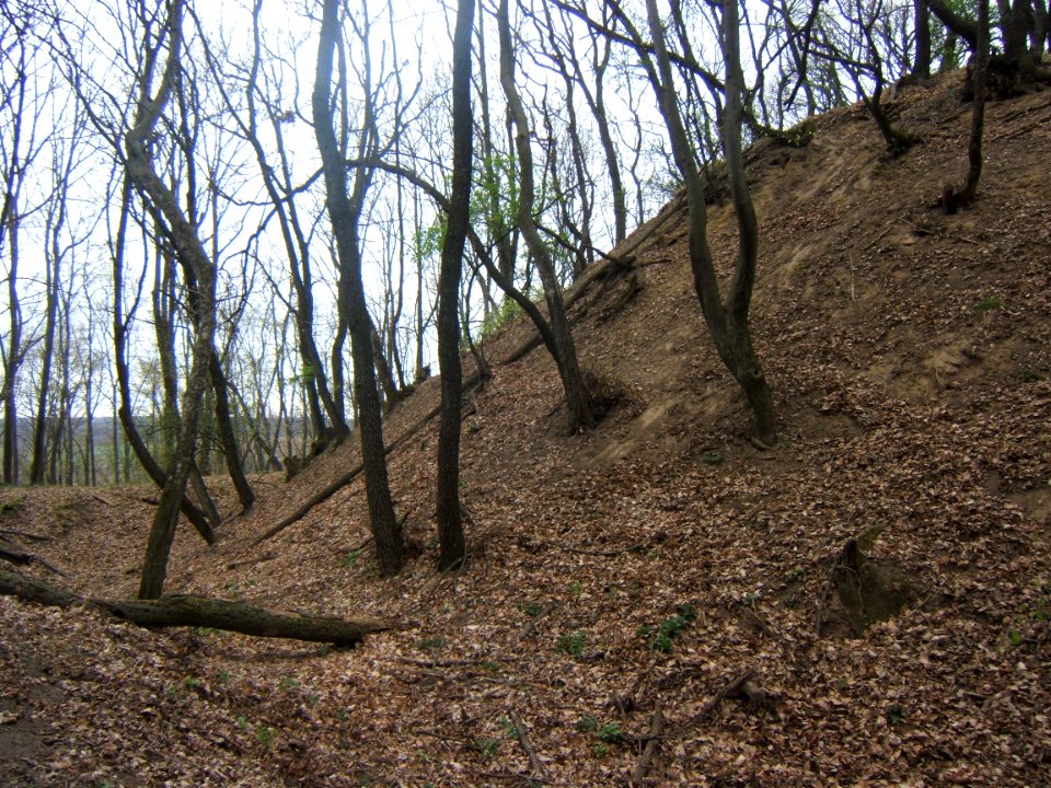 Ságvár, Böre-vár 02